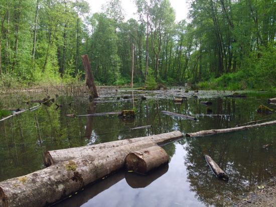 Everett Crowley Park